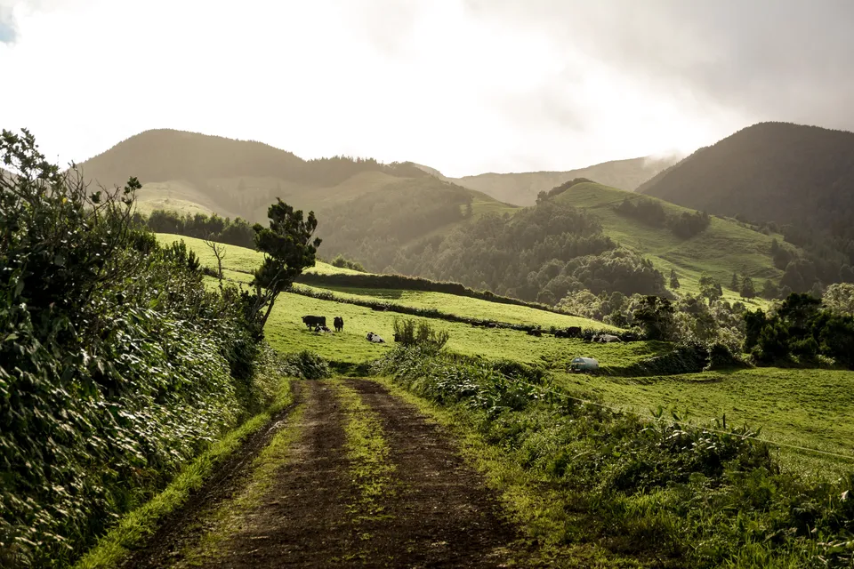 In the Azores